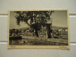 Закарпаття Мукачево 1940-і рр басейн, фото №2