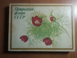 Спички, набор "Природная флора СССР", фото №2