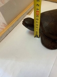 Черепаха большая деревянная. Вес 1,4 кг, фото №5