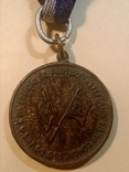 Медаль Ангола, фото №3