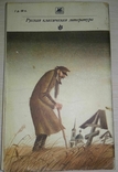 Пан Головлєв. Роман. Казки. М. Є. Салтиков-Щедрін, 1980, фото №9