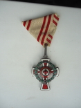 Австро-венгрия знак красного креста 1864-1914, фото №2