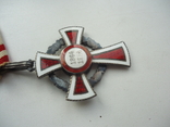 Австро-венгрия знак красного креста 1864-1914, фото №8