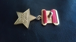 Медаль "Золотая Звезда" муляж, фото №5