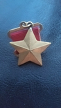 Медаль "Золотая Звезда" муляж, фото №6