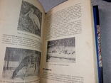 1933 Охота с фото аппаратом . В.Ю.Фалькенштейн обложка Авангард, фото №9