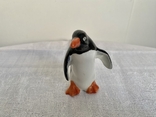 Пінгвін, фото №2