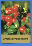 Флора ягода зовнішторг пластик атоменергоекспорт, фото №2