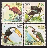 Птицы, Куба 1989, фото №2