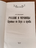 Русские и украинцы. Братья. 2013 / Москов. пропаганда, фото №7