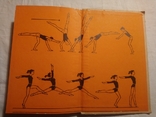 Гимнастика с методикой преподавания, фото №6