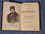 Т. Г. Шевченко. Кобзарь иллюстрированный., фото №2