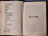 Т. Г. Шевченко. Кобзарь иллюстрированный., фото №9