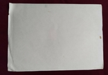 1976 р. Павлюк А.Г. Дівчинка з косою, папір олівець 41.5Х29.5 см, фото №7