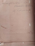 1976 р. Павлюк А.Г. Жіночий портрет(Женя Шейхет) папір на картоні олівець 50Х40 см, фото №3