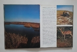 Верни долг природе фотоальбом Киев 1990 г., фото №9