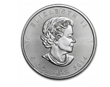 20 штук срібна монета Канадскький кленовий лист, фото №4