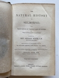 Природнича історія. Gilbert White. The Natural History of Selborn, London 1854, гравюри, фото №6