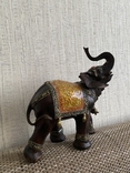 Индийский слон, фото №2