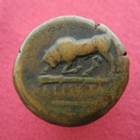 Монета Херсонес № 1., фото №2