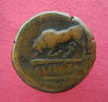Монета Херсонес № 1., фото №3