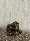 Денежная жаба, фото №2