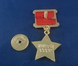 Звезда Герой Советского Союза (копия), фото №6