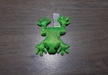 Лягушка зелёная жаба, фото №3