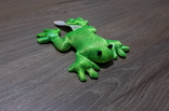 Лягушка зелёная жаба, фото №2