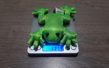 Лягушка зелёная жаба, фото №8