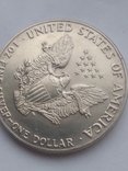 Один доллар США (Шагающая Свобода), фото №11