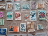 Лот 4 .Старые Почтовые марки, фото №13