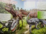 Динозавры. Детская энциклопедия. Большой формат, фото №5