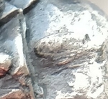 Статуэтка Крыса серебро 925, фото №7