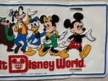Табличка Walt Disney World, фото №4