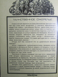 Н. Вельмина. Таинственное ожерелье. 1988, фото №6