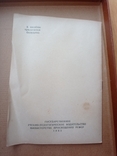 Вегетативні гібриди томатів муляж РСФСР 1955 р., фото №7