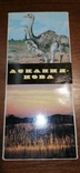 Набор открыток Асканія-Нова 1986 г, фото №3