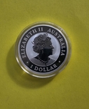 Австралія 1 долар 2020 Клинохвостий орел.Срібло, фото №8