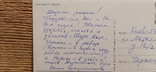 Открытка новогодняя худ. Зарубин 1981 г, фото №5