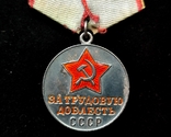 Медаль За трудовую доблесть, фото №8