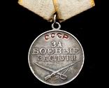 Медаль За боевые заслуги, фото №7
