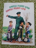 Набір плакатів Природа рідного краю 1988 рік., фото №2