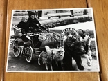Фото дети в карете с чучелами привет из Запорожья, фото №2