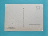 Чуковский Айболит худ. Могилевский 1968 года. Чистая, тир. 700 000, фото №3