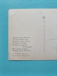 Чуковский Айболит худ. Могилевский 1968 года. Чистая, тир. 700 000, фото №8