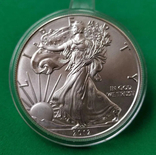 Шагающая Свобода 2012. 1 Доллар США. Серебро 999 (3), фото №2
