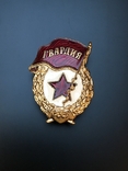 Знак Гвардия СССР, фото №3