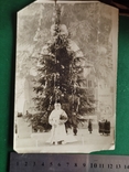 Старе фото "Новорічна ялинка в Миколаєві. 1955г", фото №8