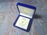Серебряная монета Год Кабана,5гр.,2007 год. Футляр + сертификат., фото №3